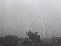 nte Fontane-201011107 084